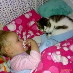 aaaaaa Poes snoepie slaapt ook op bed 24-02-2008