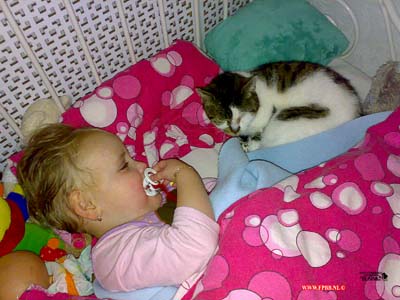 aaaaaa Poes snoepie slaapt ook op bed 24-02-2008