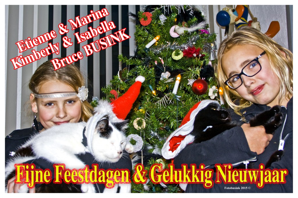 15122308kerstkaart2015